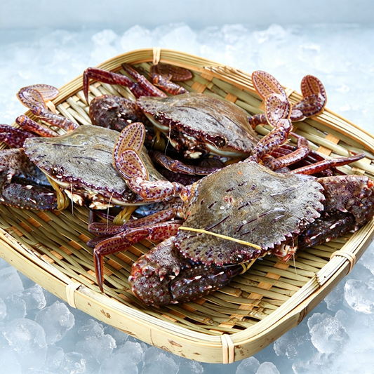 Fresh-Caught Whole Sea Crab - Ice-Preserved