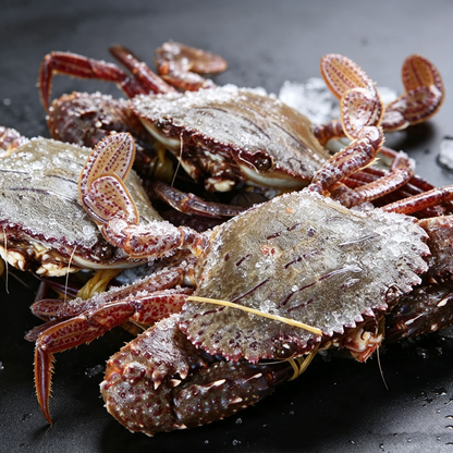 Fresh-Caught Whole Sea Crab - Ice-Preserved